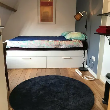 Maison d'hôtes Cozy Rivierenbuurt *